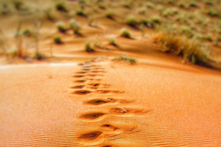 Simple Steps to Actionable Insights